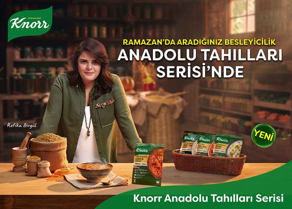 Knorr  