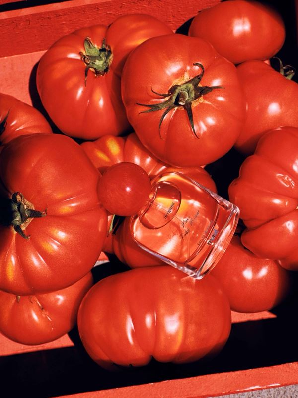 Mavi SS26 SL  