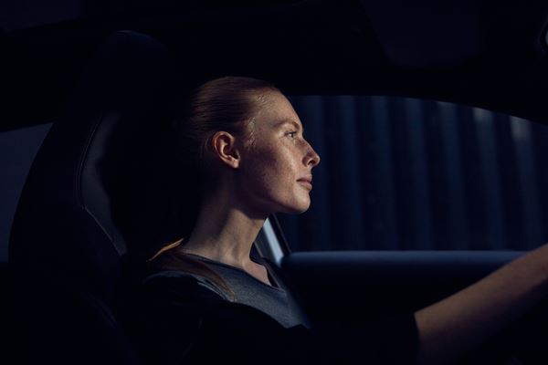Daimler Financial Services  