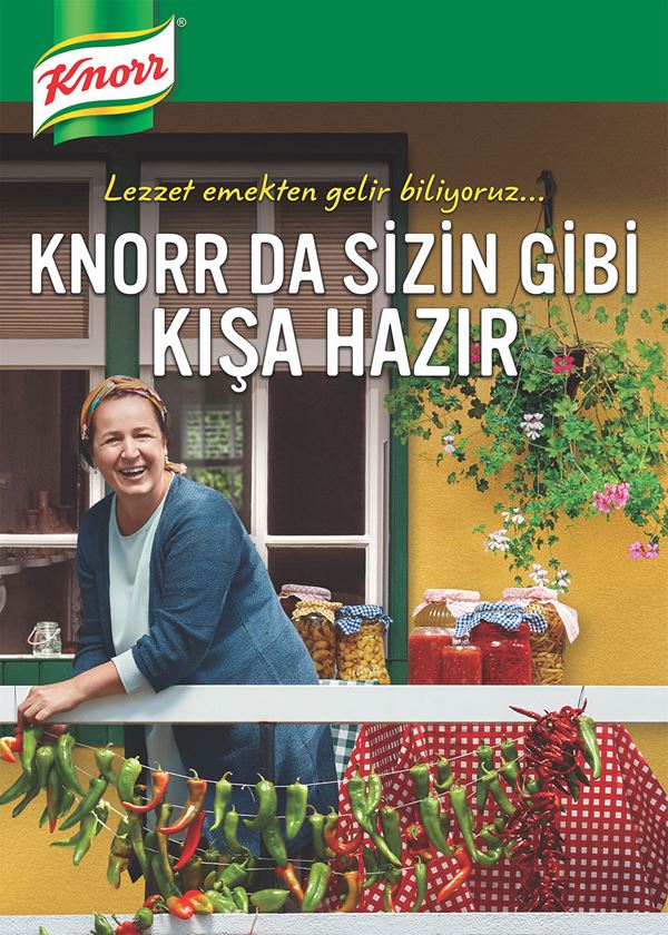 Knorr  