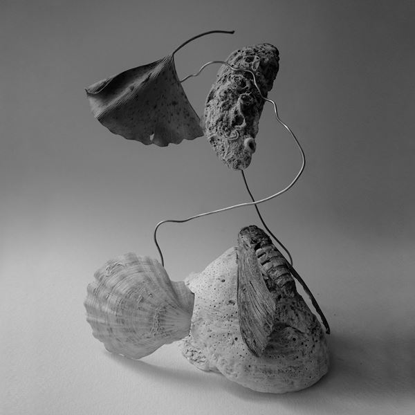 Ahmet Ali Arslan 'Yeni Bir Kabuk' Album Cover   