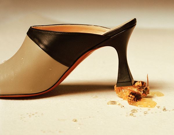 Manu Atelier Still Life  